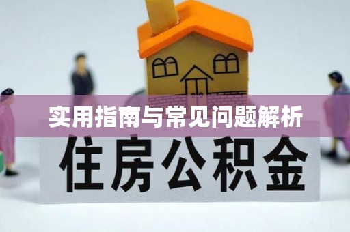武功实用指南与常见问题解析